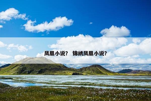 凤凰小说？ 锦绣凤凰小说？