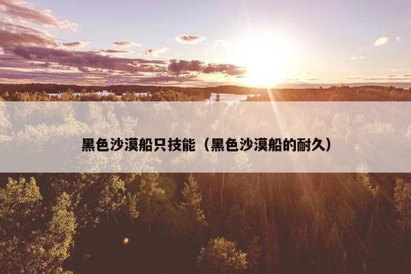 黑色沙漠船只技能（黑色沙漠船的耐久）