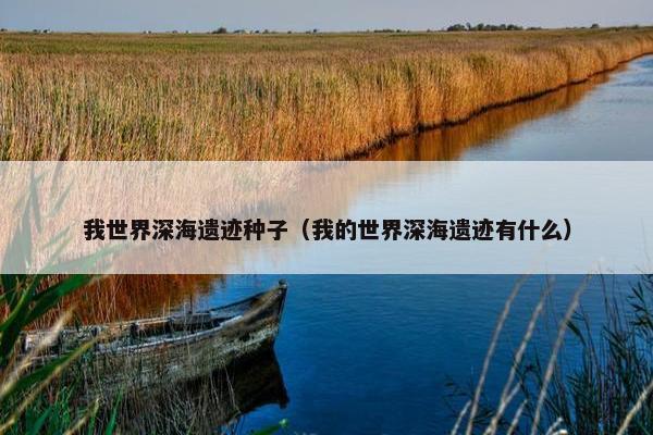 我世界深海遗迹种子（我的世界深海遗迹有什么）