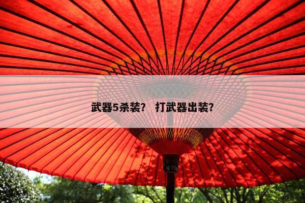 武器5杀装？ 打武器出装？