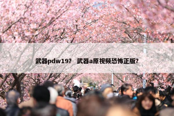 武器pdw19？ 武器a原视频恐怖正版？
