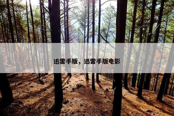 迅雷手版，迅雷手版电影