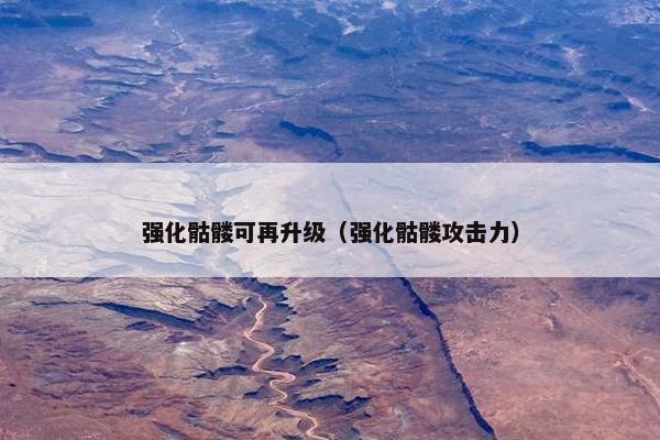 强化骷髅可再升级（强化骷髅攻击力）