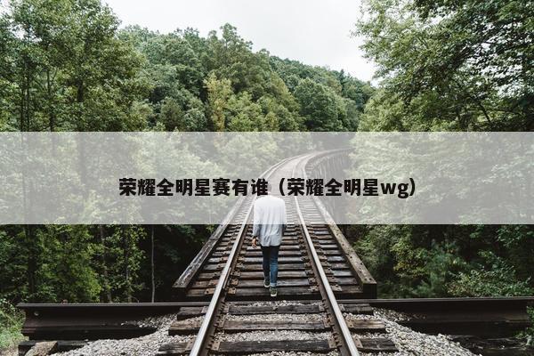 荣耀全明星赛有谁（荣耀全明星wg）