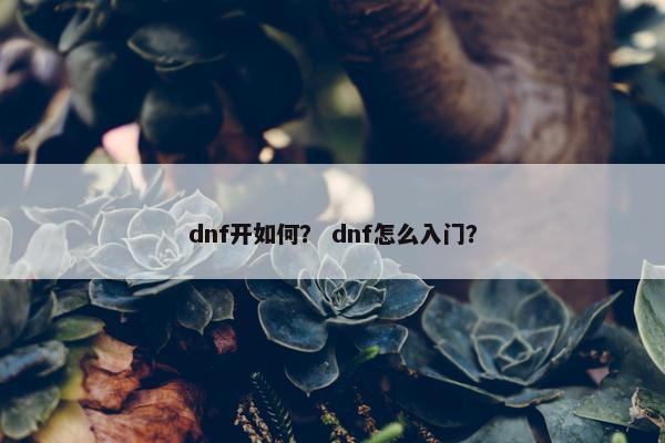 dnf开如何？ dnf怎么入门？