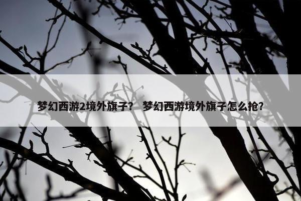 梦幻西游2境外旗子？ 梦幻西游境外旗子怎么抢？