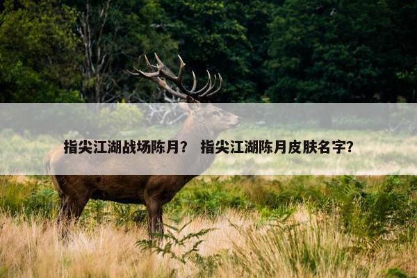 指尖江湖战场陈月？ 指尖江湖陈月皮肤名字？