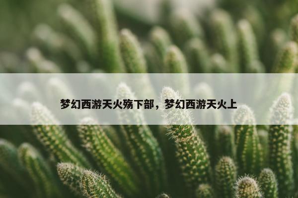 梦幻西游天火殇下部，梦幻西游天火上
