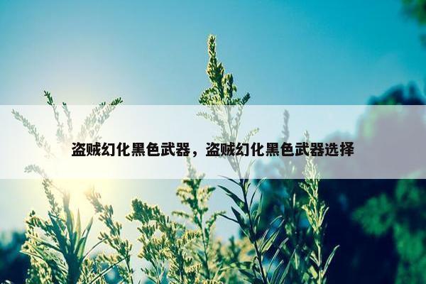 盗贼幻化黑色武器，盗贼幻化黑色武器选择