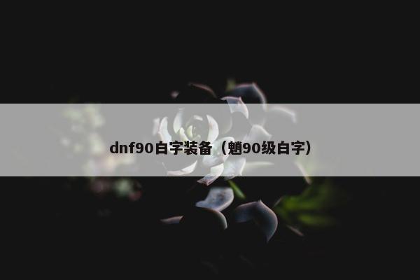 dnf90白字装备（魈90级白字）