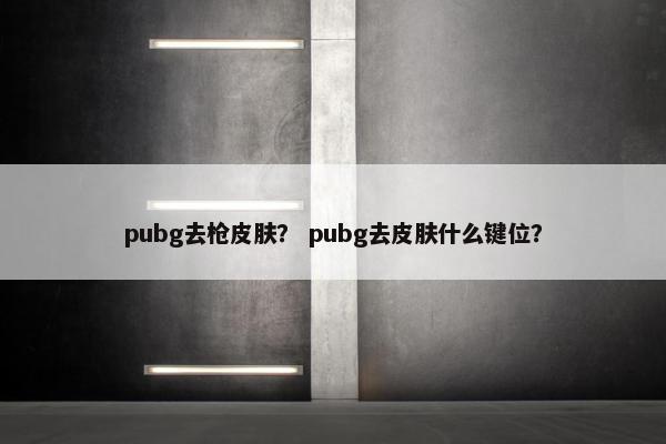 pubg去枪皮肤？ pubg去皮肤什么键位？