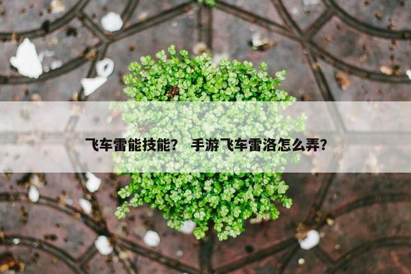 飞车雷能技能？ 手游飞车雷洛怎么弄？