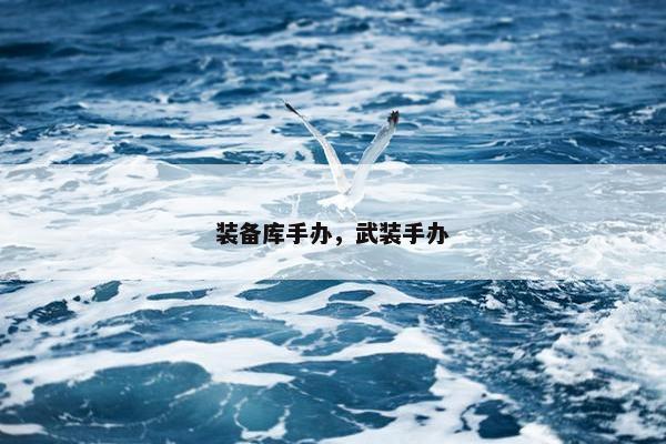 装备库手办，武装手办