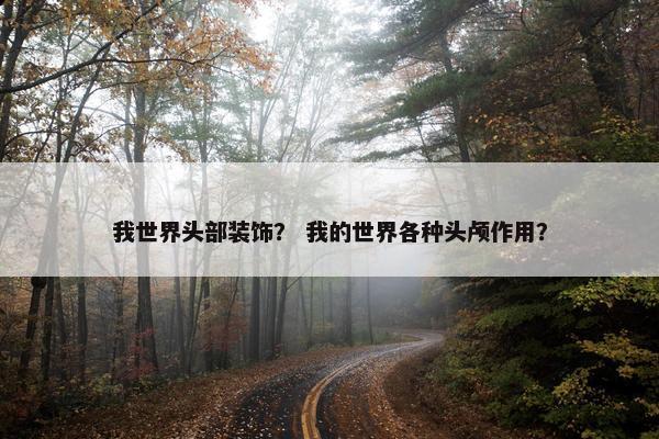 我世界头部装饰？ 我的世界各种头颅作用？