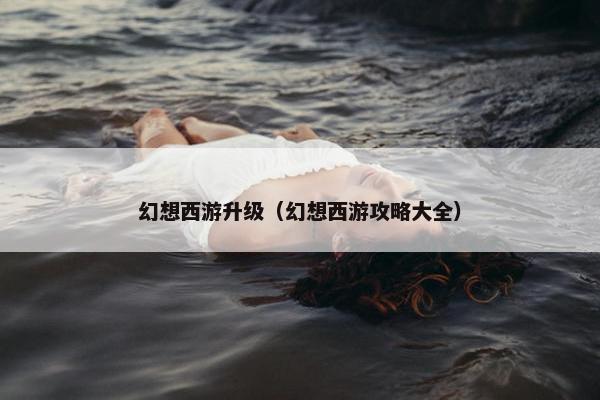 幻想西游升级（幻想西游攻略大全）