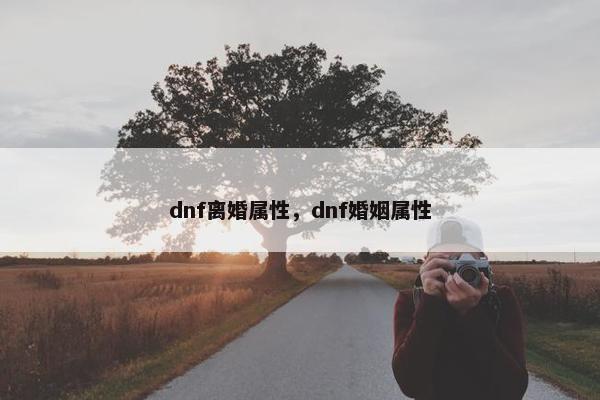 dnf离婚属性，dnf婚姻属性