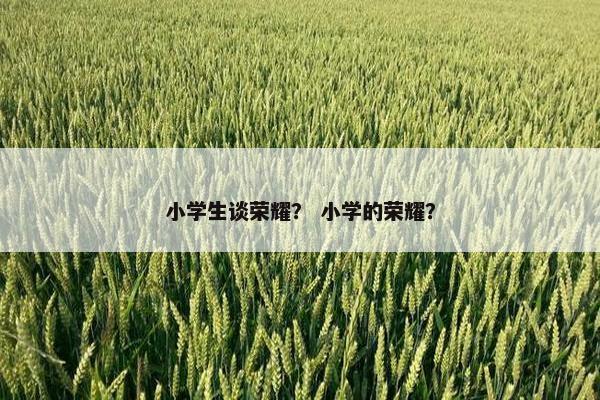 小学生谈荣耀？ 小学的荣耀？
