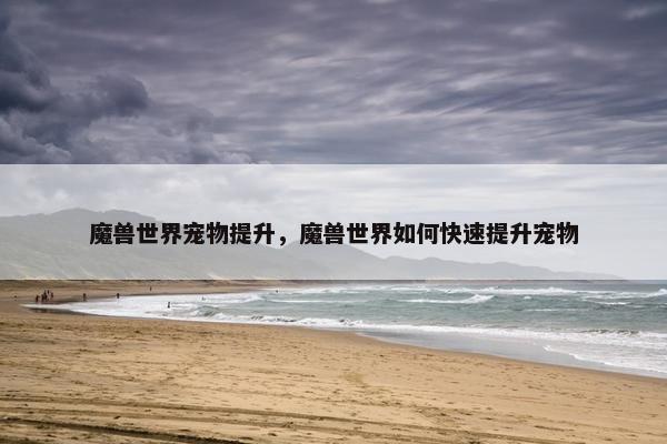 魔兽世界宠物提升，魔兽世界如何快速提升宠物