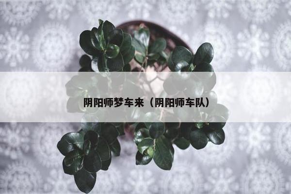 阴阳师梦车来（阴阳师车队）