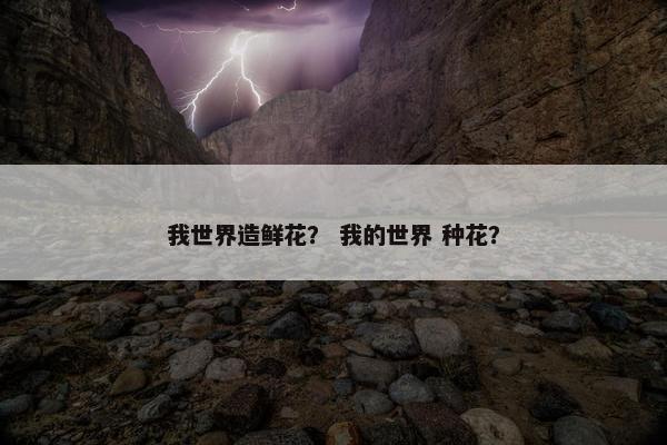 我世界造鲜花？ 我的世界 种花？