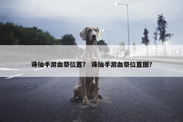 诛仙手游血祭位置？ 诛仙手游血祭位置图？