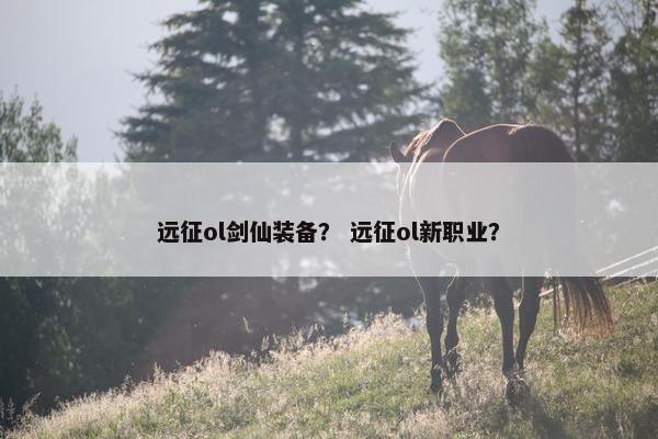 远征ol剑仙装备？ 远征ol新职业？