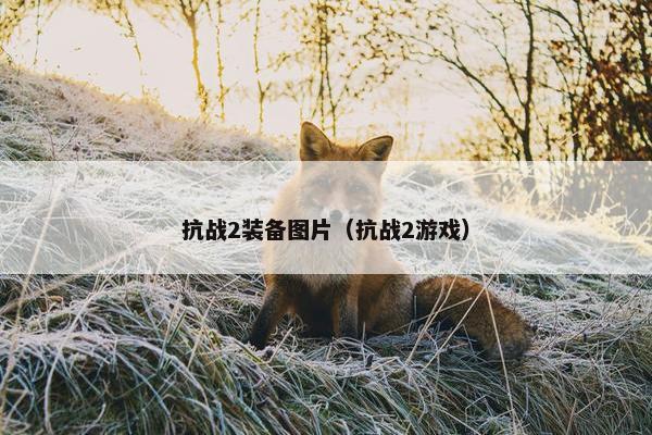 抗战2装备图片（抗战2游戏）