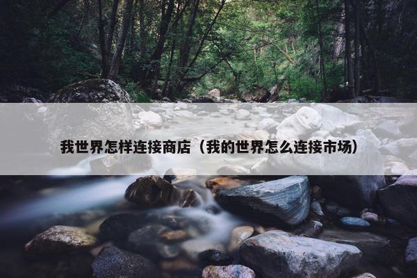 我世界怎样连接商店（我的世界怎么连接市场）