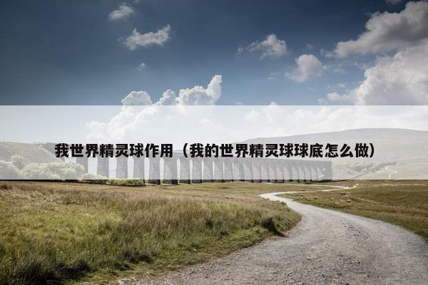 我世界精灵球作用（我的世界精灵球球底怎么做）