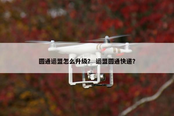 圆通运盟怎么升级？ 运盟圆通快递？
