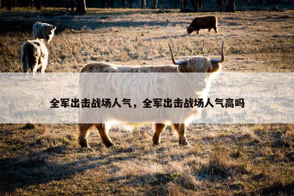 全军出击战场人气，全军出击战场人气高吗