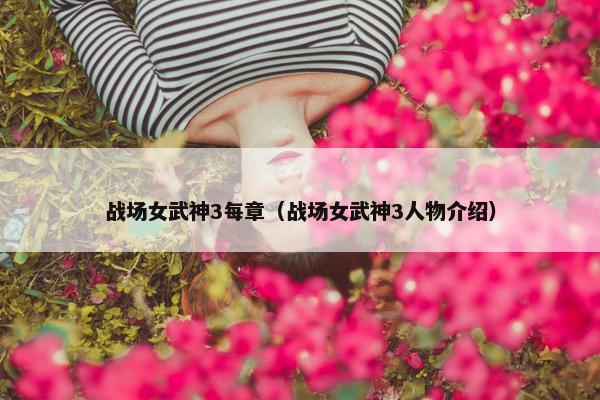 战场女武神3每章（战场女武神3人物介绍）