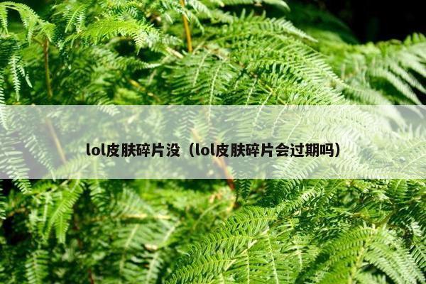 lol皮肤碎片没（lol皮肤碎片会过期吗）