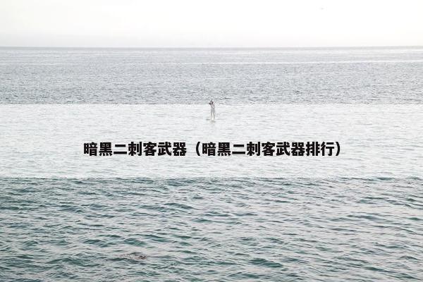 暗黑二刺客武器（暗黑二刺客武器排行）