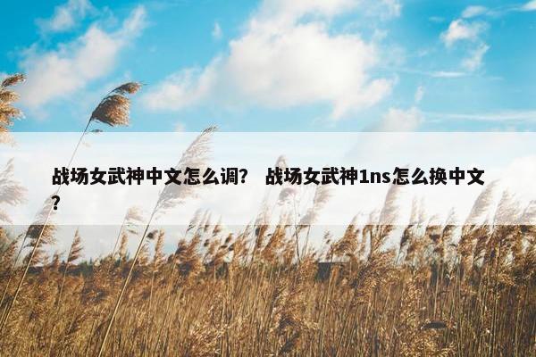 战场女武神中文怎么调？ 战场女武神1ns怎么换中文？