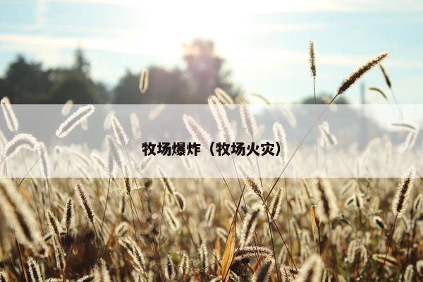 牧场爆炸（牧场火灾）