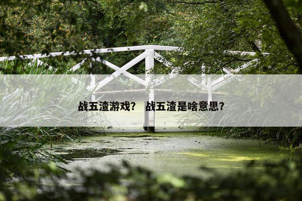 战五渣游戏？ 战五渣是啥意思？