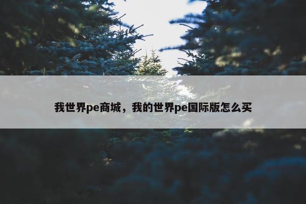我世界pe商城，我的世界pe国际版怎么买