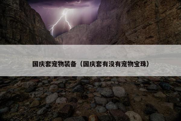 国庆套宠物装备（国庆套有没有宠物宝珠）