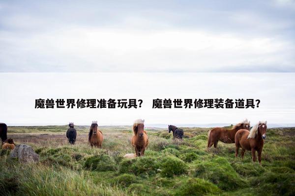 魔兽世界修理准备玩具？ 魔兽世界修理装备道具？
