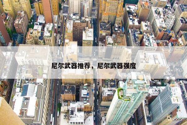 尼尔武器推荐，尼尔武器强度