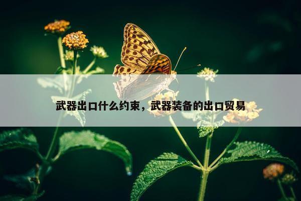 武器出口什么约束，武器装备的出口贸易