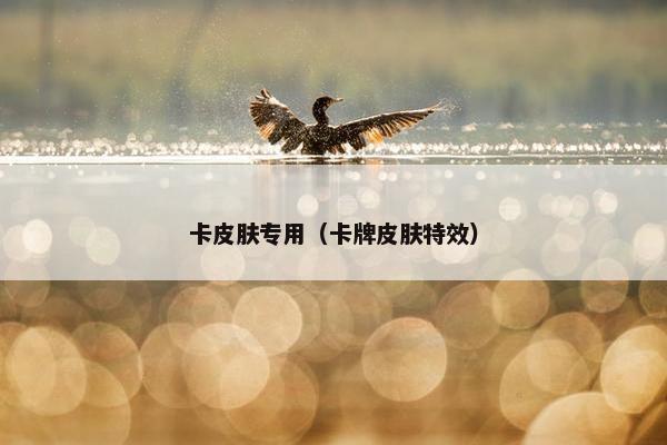 卡皮肤专用（卡牌皮肤特效）