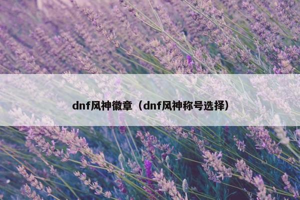 dnf风神徽章（dnf风神称号选择）