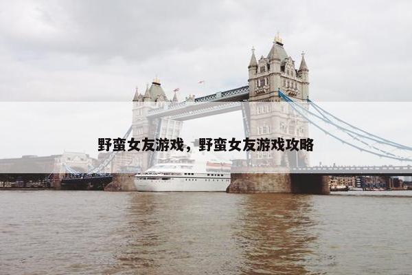 野蛮女友游戏，野蛮女友游戏攻略