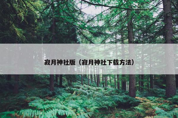 寂月神社版（寂月神社下载方法）