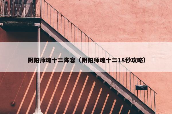 阴阳师魂十二阵容（阴阳师魂十二18秒攻略）