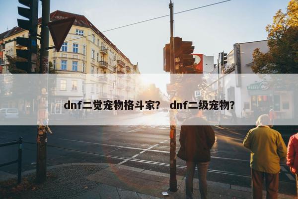 dnf二觉宠物格斗家？ dnf二级宠物？