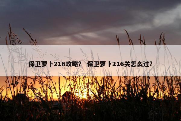 保卫萝卜216攻略？ 保卫萝卜216关怎么过？