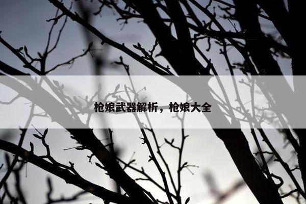 枪娘武器解析，枪娘大全